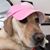 Tammy Robbins's profile image