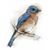 Sandra Kay Clark's profile image