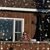 Nancy Lambert D'Antonio's profile image