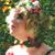 Kelly Wolff's profile image