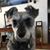 Sharon Trent Parks's profile image