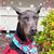 Tina Carmona's profile image