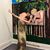 Savannah Galvin's profile image