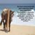 Michele Buckhanan's profile image