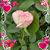 Lynne Seckman's profile image