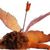 Lisa Cunningham's profile image