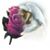 Antoinette Garringer's profile image