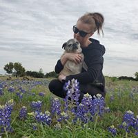 Ashley Hall's profile image