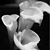 Kay L Hamlett's profile image