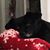 Donna Field Coplan's profile image