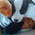 Tammie Heen's profile image