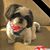 Donna Chrisman's profile image