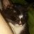 Jolene McGee's profile image