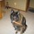 Lori A. Chada's profile image