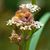 Katherine Clifton's profile image