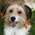 Jennifer Jo Smith's profile image