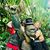 Rich Green's profile image