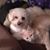 Stacy Ail Scheid's profile image