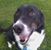 Mary Nosack's profile image