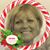 Kathy L Rapczak's profile image