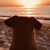 Sandra Hawley-Kutzke's profile image