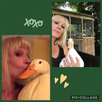 Lori Taraboletti's profile image