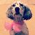 Sarah Tallent's profile image