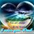 Wendy Fritts Nibarger's profile image