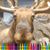 Jesse Besonen's profile image