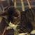 Kathy McClenahan Struense's profile image