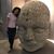 Kelly Ashley Elton's profile image
