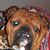Kellye-and Eddie Jones's profile image