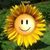 Debbie Arnett's profile image