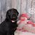 Karen Bowe Lilley's profile image