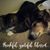 Kathi Constance-Sockow's profile image