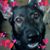 Margaret Willey's profile image
