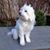 Diane Treuthart's profile image