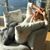 Chrissy Shunda's profile image