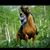 Kristin Kimberlin Christensen's profile image