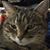 Karen Wunderlich's profile image