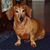 Judy Elaine's profile image