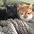 Karen Budisin's profile image