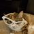 Sarafina Glorioso's profile image