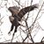 Diana 'Streibich' Anderson's profile image