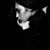 Amy Ray's profile image