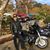 Tomas Miklos's profile image