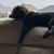 Beth Richter's profile image
