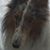 Sharon Hepler's profile image