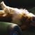Terrie Brockmann's profile image