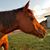 Arlyn LaBair's profile image